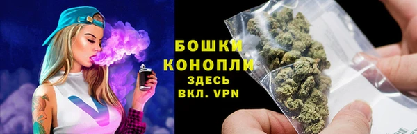 трава Лабытнанги