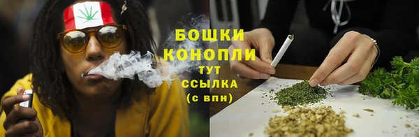 соль ск Лагань