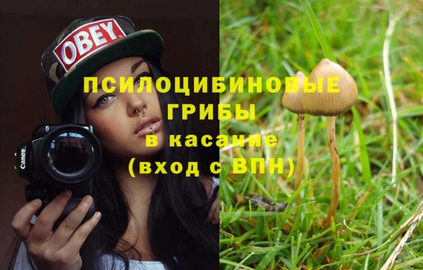 соль ск Лагань