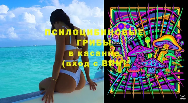 трава Лабытнанги