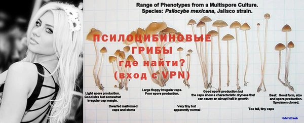 мескалин Вязники