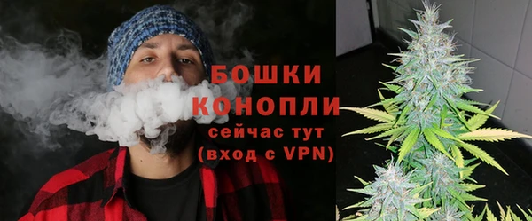 трава Лабытнанги