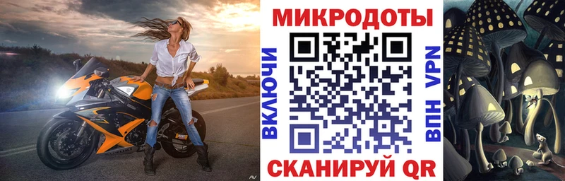 Галлюциногенные грибы прущие грибы  Емва 